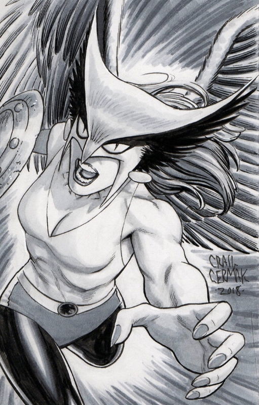 Craig Cermak - Hawkgirl 